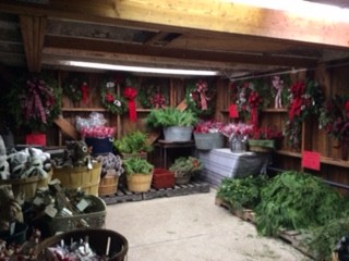 Wreaths & More